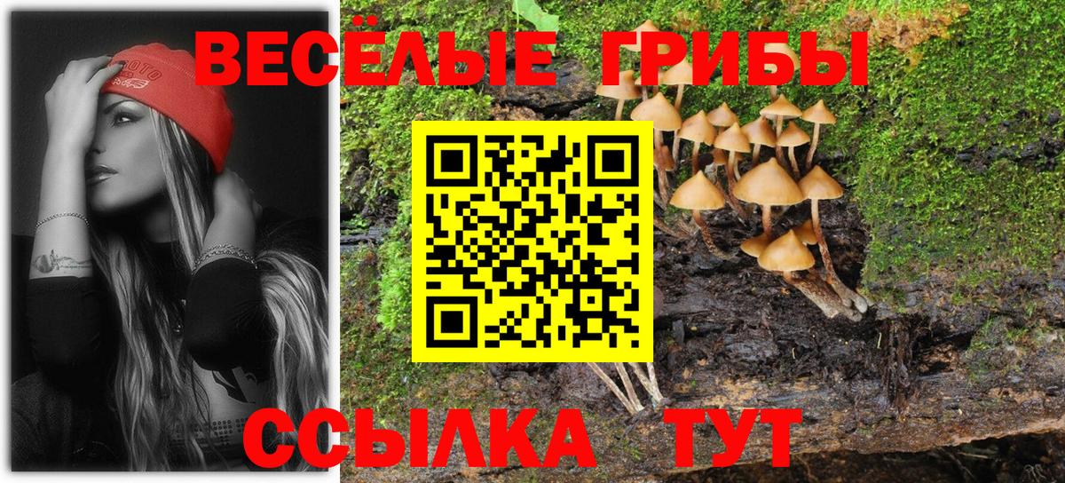 Псилоцибиновые грибы Magic Shrooms Ивантеевка